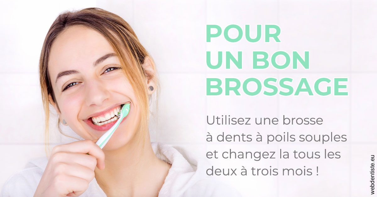 https://www.scm-adn-chirurgiens-dentistes.fr/Pour un bon brossage 2