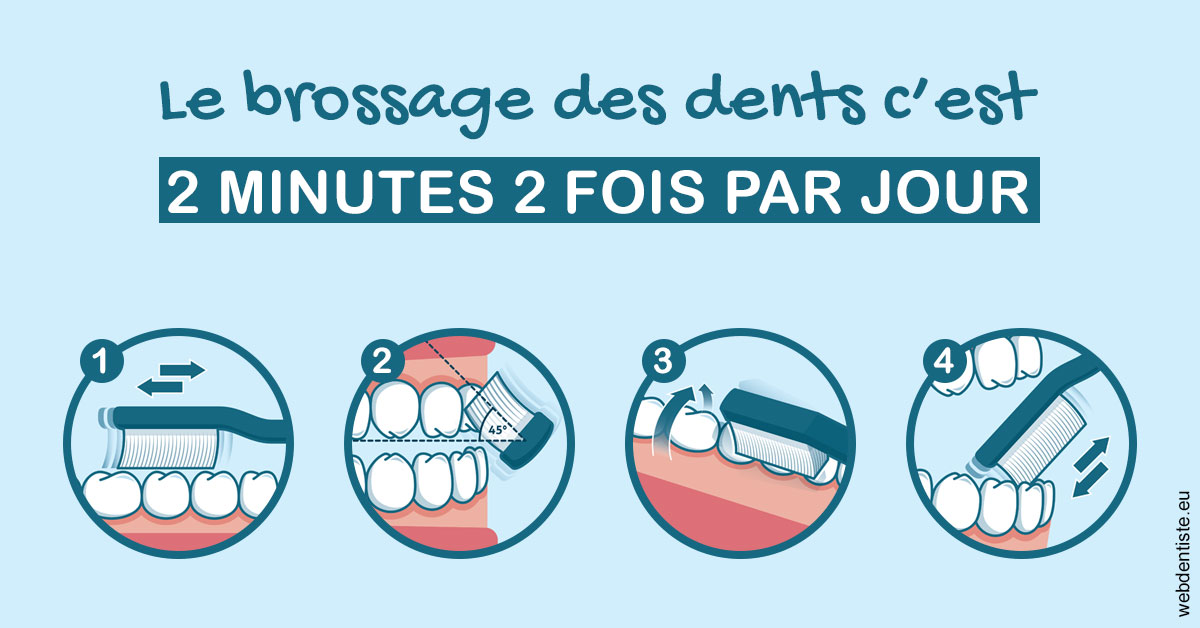 https://www.scm-adn-chirurgiens-dentistes.fr/Les techniques de brossage des dents 1