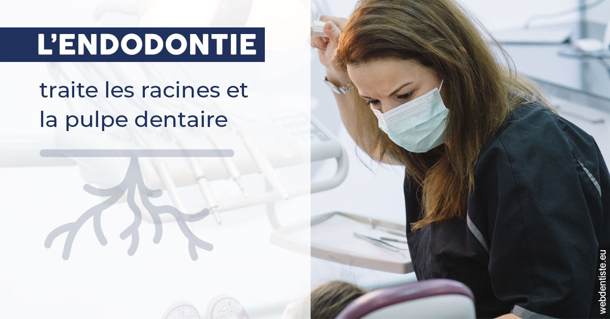 https://www.scm-adn-chirurgiens-dentistes.fr/L'endodontie 1
