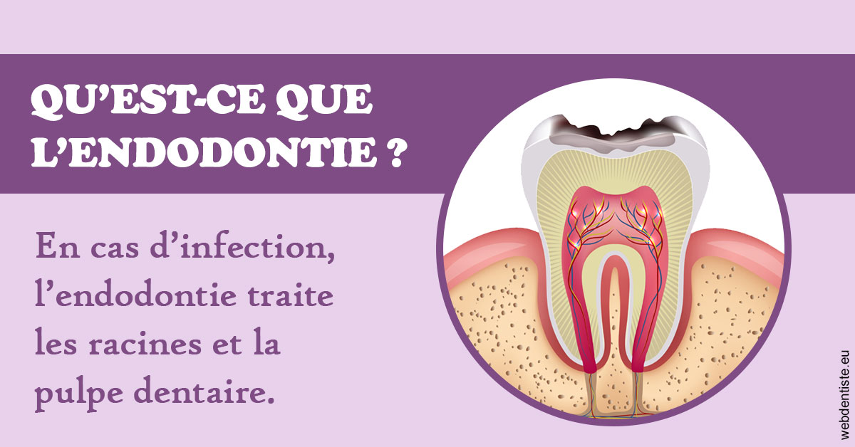 https://www.scm-adn-chirurgiens-dentistes.fr/2024 T1 - Endodontie 02
