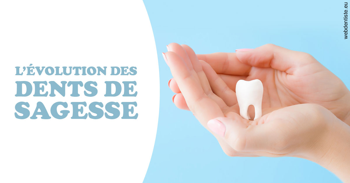 https://www.scm-adn-chirurgiens-dentistes.fr/Evolution dents de sagesse 1
