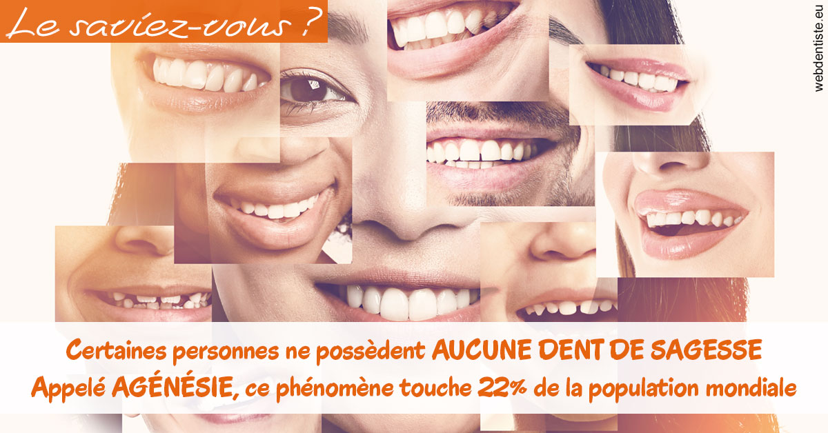 https://www.scm-adn-chirurgiens-dentistes.fr/Agénésie 2